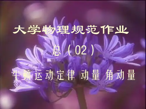 大学物理规范作业(本一)02解答