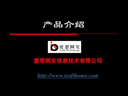 爱思网安产品介绍