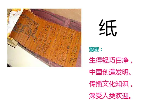 走进纸的王国课件