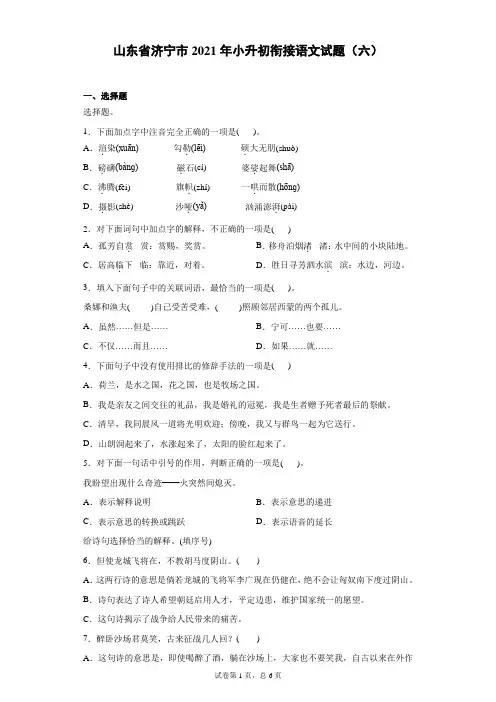 山东省济宁市 小升初衔接语文试题(六)(含答案)
