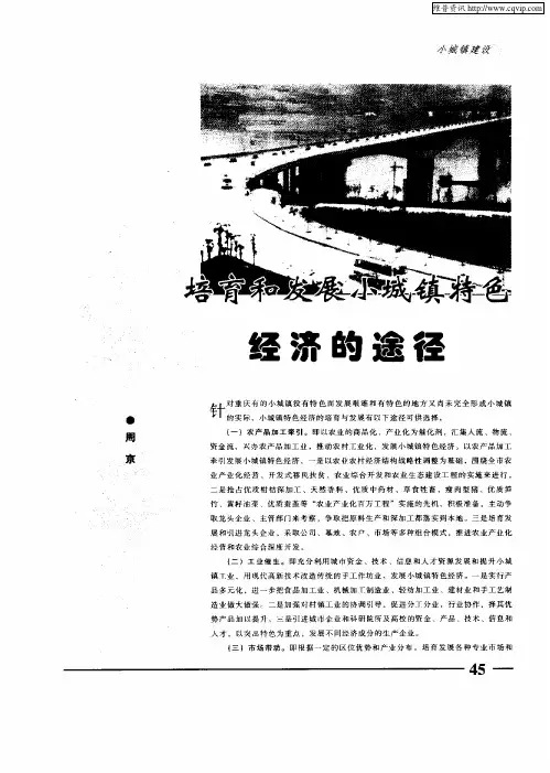 培育和发展小城镇特色经济的途径