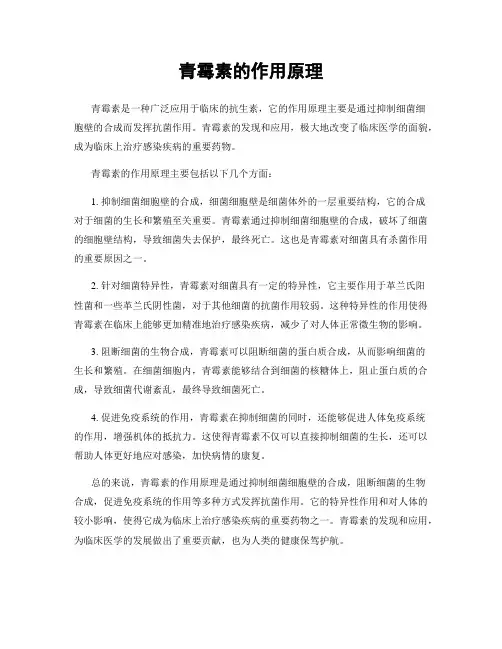 青霉素的作用原理