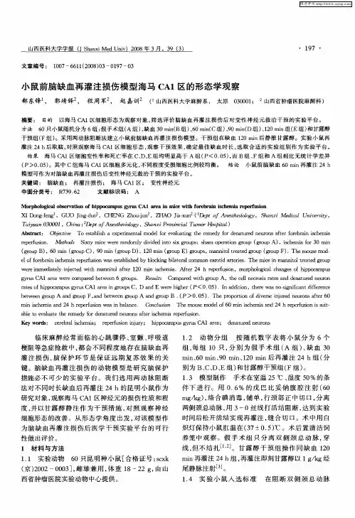 小鼠前脑缺血再灌注损伤模型海马CA1区的形态学观察