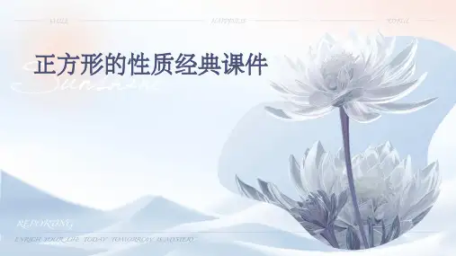 正方形的性质经典课件