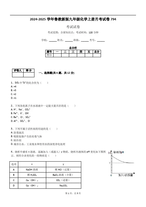 2024-2025学年鲁教新版九年级化学上册月考试卷794