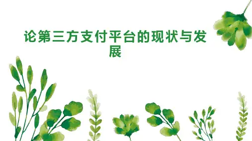 论第三方支付平台的现状与发展