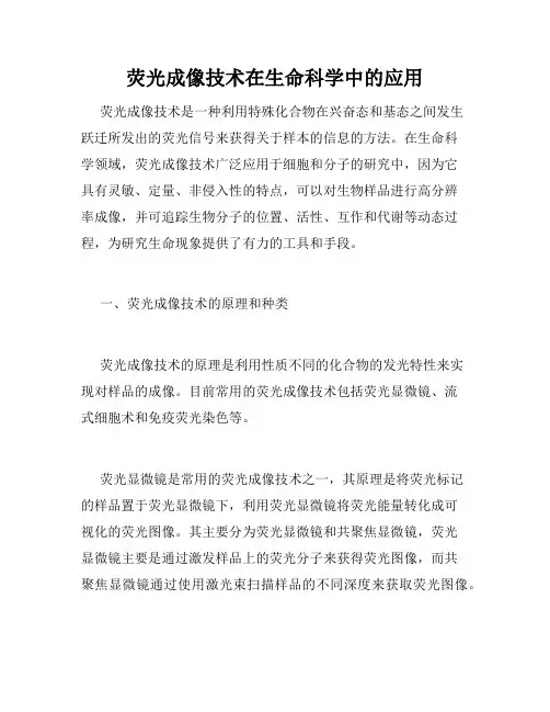 荧光成像技术在生命科学中的应用