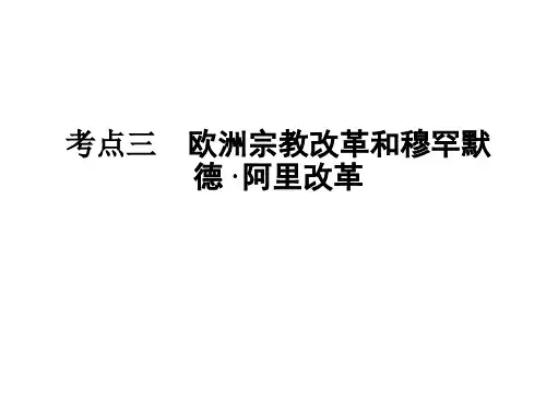高二历史欧洲宗教改革PPT课件