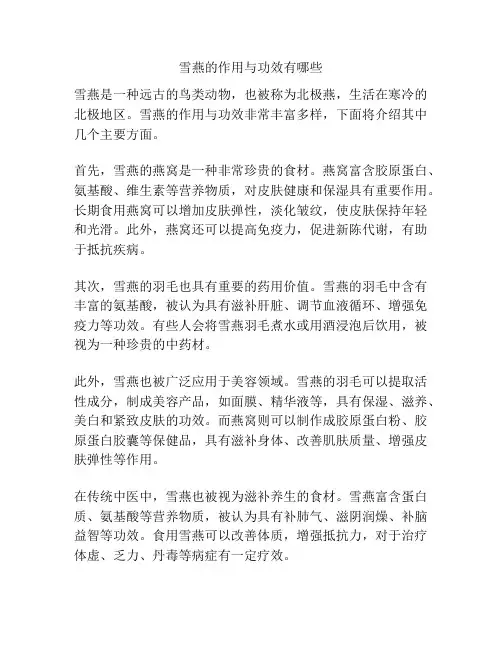 雪燕的作用与功效有哪些