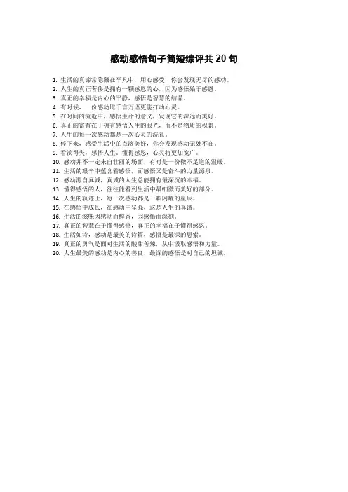 感动感悟句子简短综评