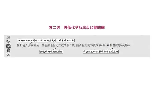 3.2.4模型建构法分析影响酶促反应的因素