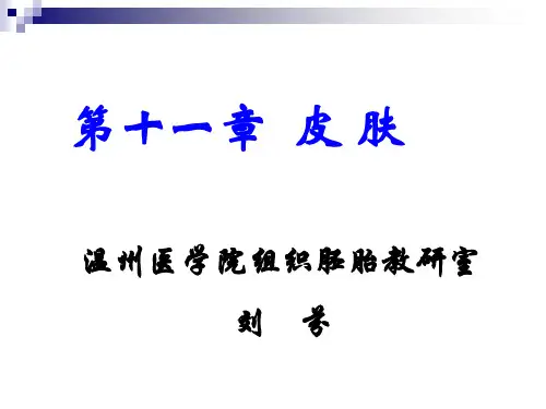 《组织学与胚胎学》教学课件：第11章  皮肤