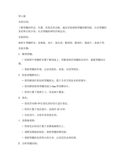 脊髓形态结构实验报告(3篇)