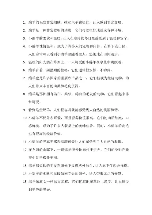 描写绵羊的优美句子 (5)