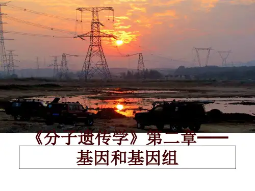 最新《分子遗传学》第二章——基因和基因组ppt课件