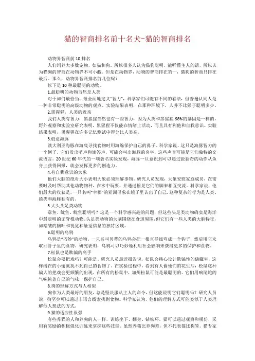 猫的智商排名前十名犬-猫的智商排名