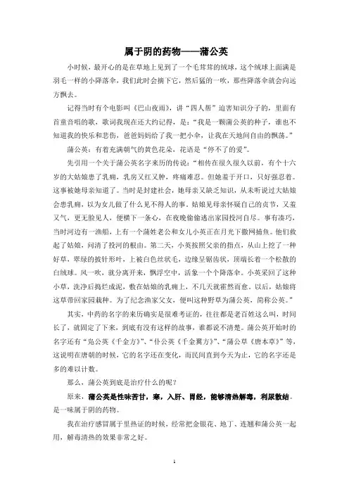 属于阴的药物——蒲公英(