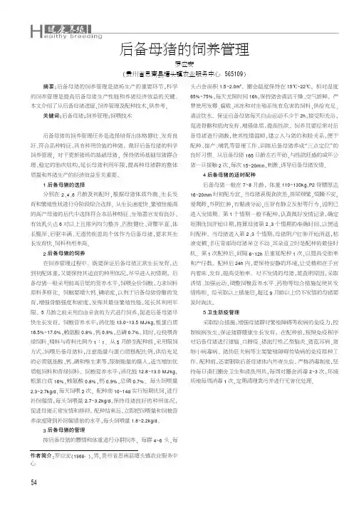 后备母猪的饲养管理