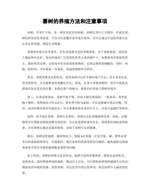 喜树的养殖方法和注意事项