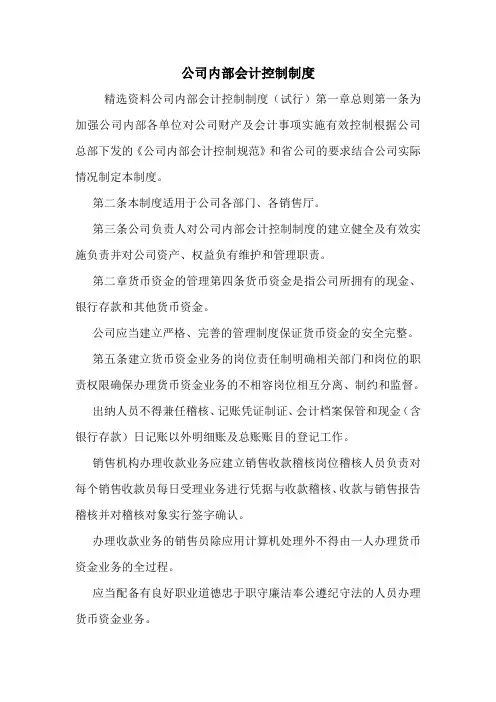 公司内部会计控制制度.doc
