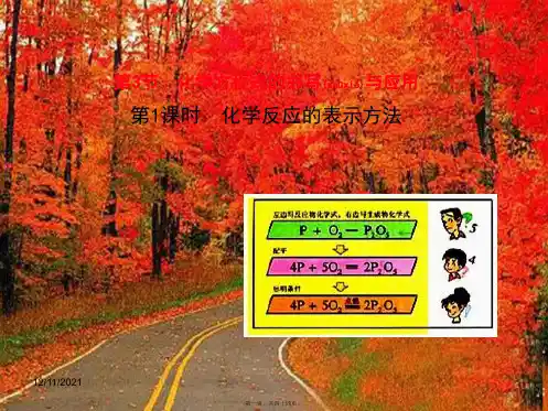 九年级化学全册 第4章 认识化学变化 第3节 化学方程式的书写与应用课件
