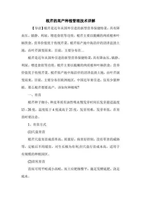 根芹的高产种植管理技术详解.doc