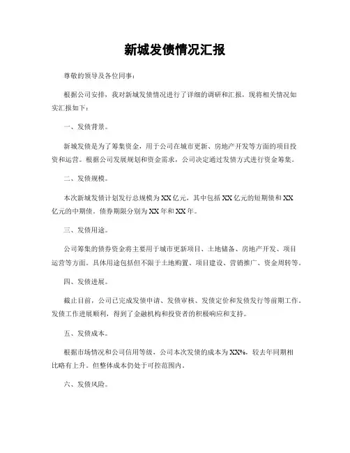 新城发债情况汇报