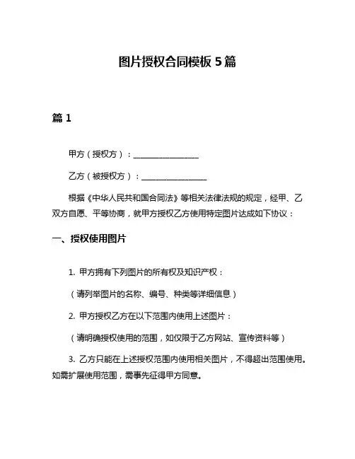 图片授权合同模板5篇