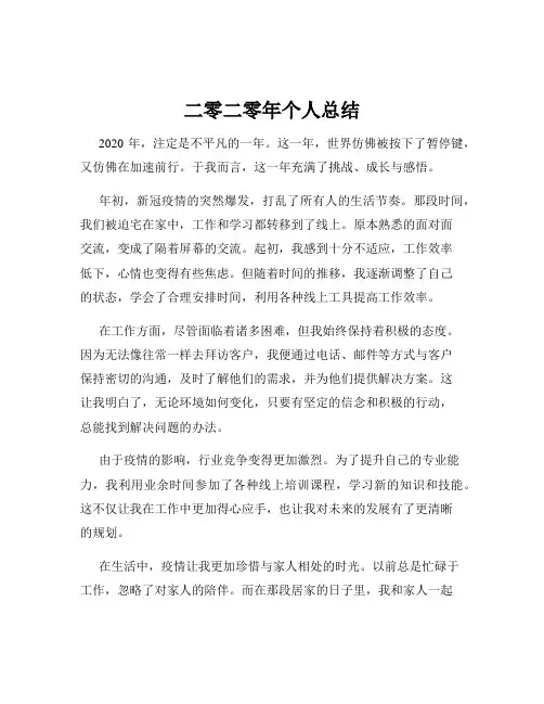 二零二零年个人总结