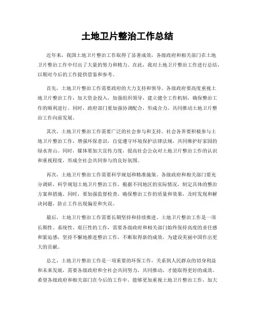 土地卫片整治工作总结