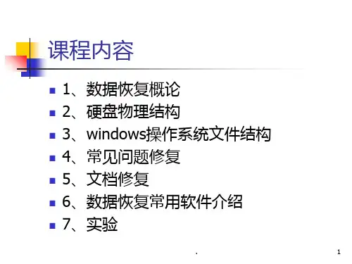 数据恢复及硬盘概述PPT课件