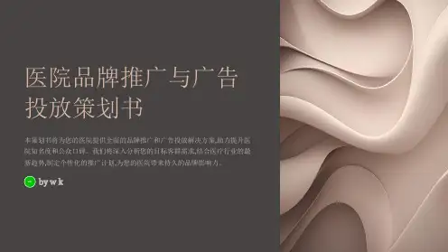 医院品牌推广与广告投放策划书