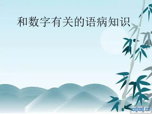 数量词病句