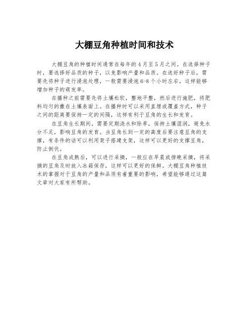 大棚豆角种植时间和技术
