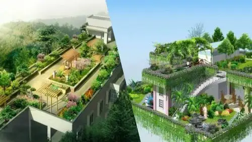 种植屋面4