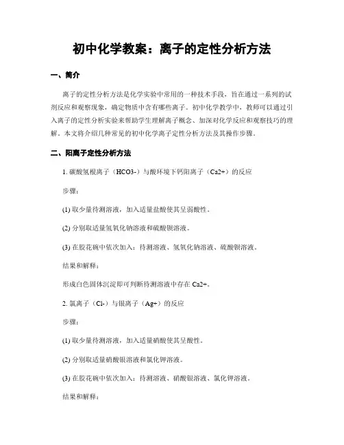 初中化学教案：离子的定性分析方法