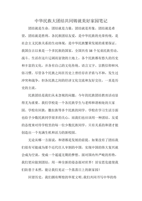中华民族大团结共同铸就美好家园笔记