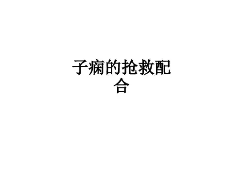 子痫的抢救配合ppt课件