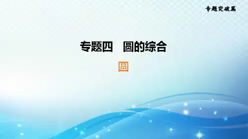 2023年中考复习大串讲初中数学之 圆 课件
