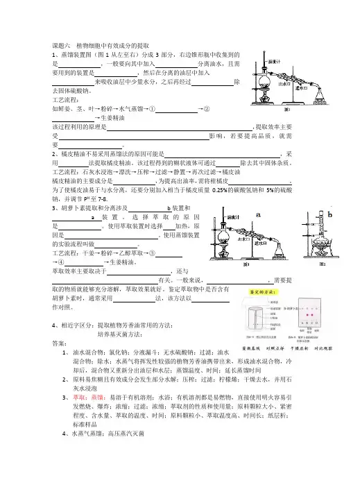 高考生物复习课题六  植物细胞中有效成分的提取