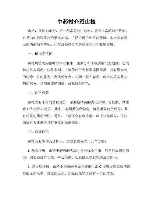 中药材介绍山楂