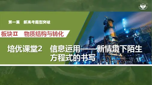 高中化学复习 培优课堂2  信息运用——新情境下陌生方程式的书写