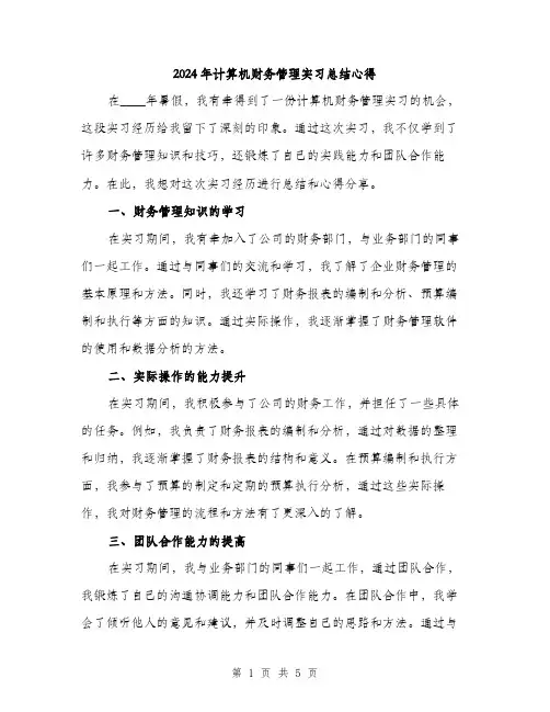 2024年计算机财务管理实习总结心得(二篇)