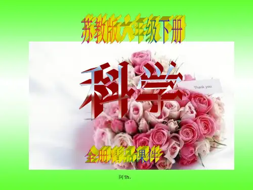 分析苏教版科学六年级下册全册课件.ppt