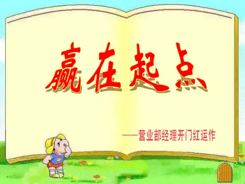 XXXX银保营业部经理开门红运作(44页)