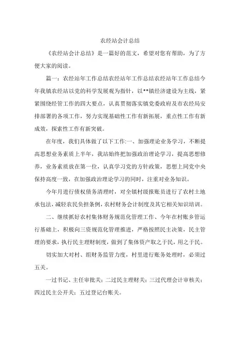 农经站会计总结