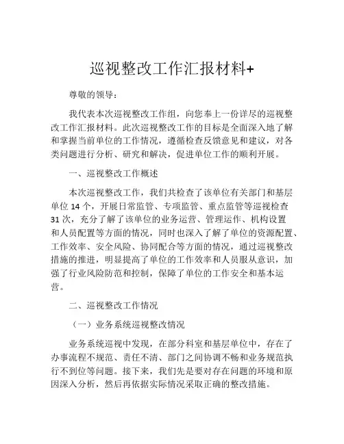 巡视整改工作汇报材料+