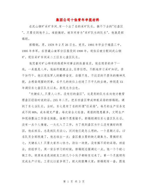 集团公司十佳青年申报材料