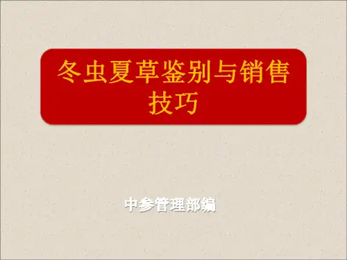 冬虫夏草(1)
