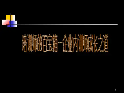 培训师的百宝箱-企业内训师成长之道